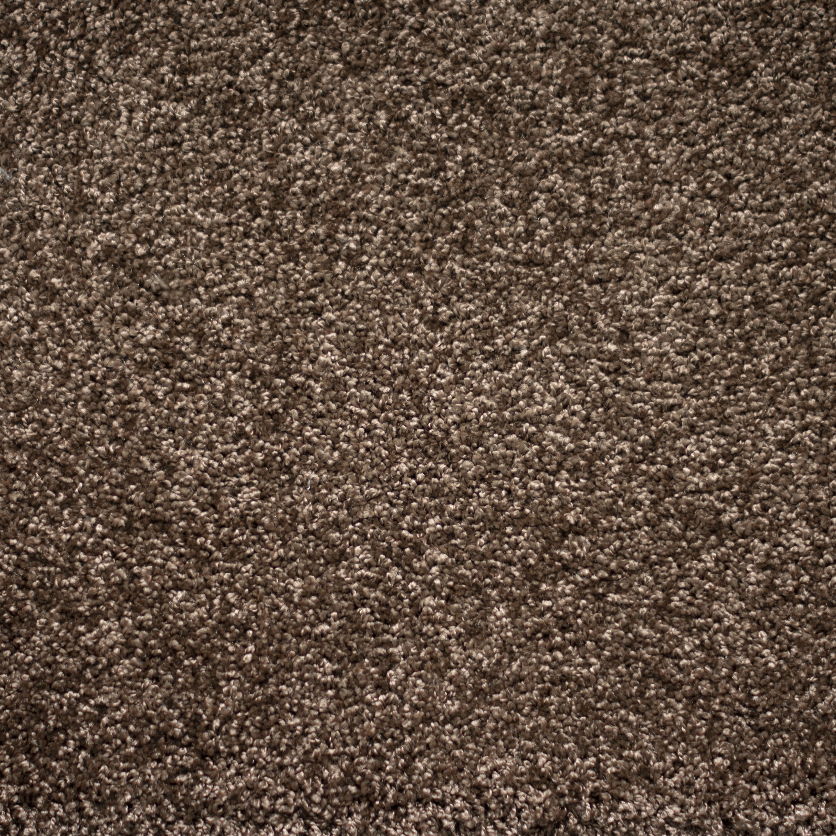 Ковролин "Зартекс" Tesoro 156 коричневый (4м) — купить в Мурманске