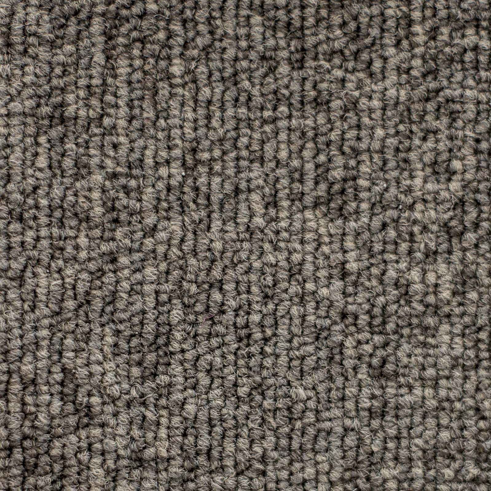 Ковролин "Зартекс" Daily 68 коричневый (4м) — купить в Мурманске