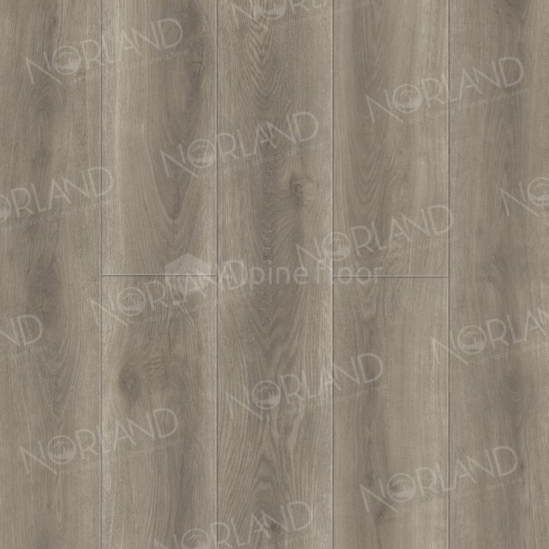 SPC Ламинат "Norland" Templet (1220*196*8 мм) — купить в Мурманске