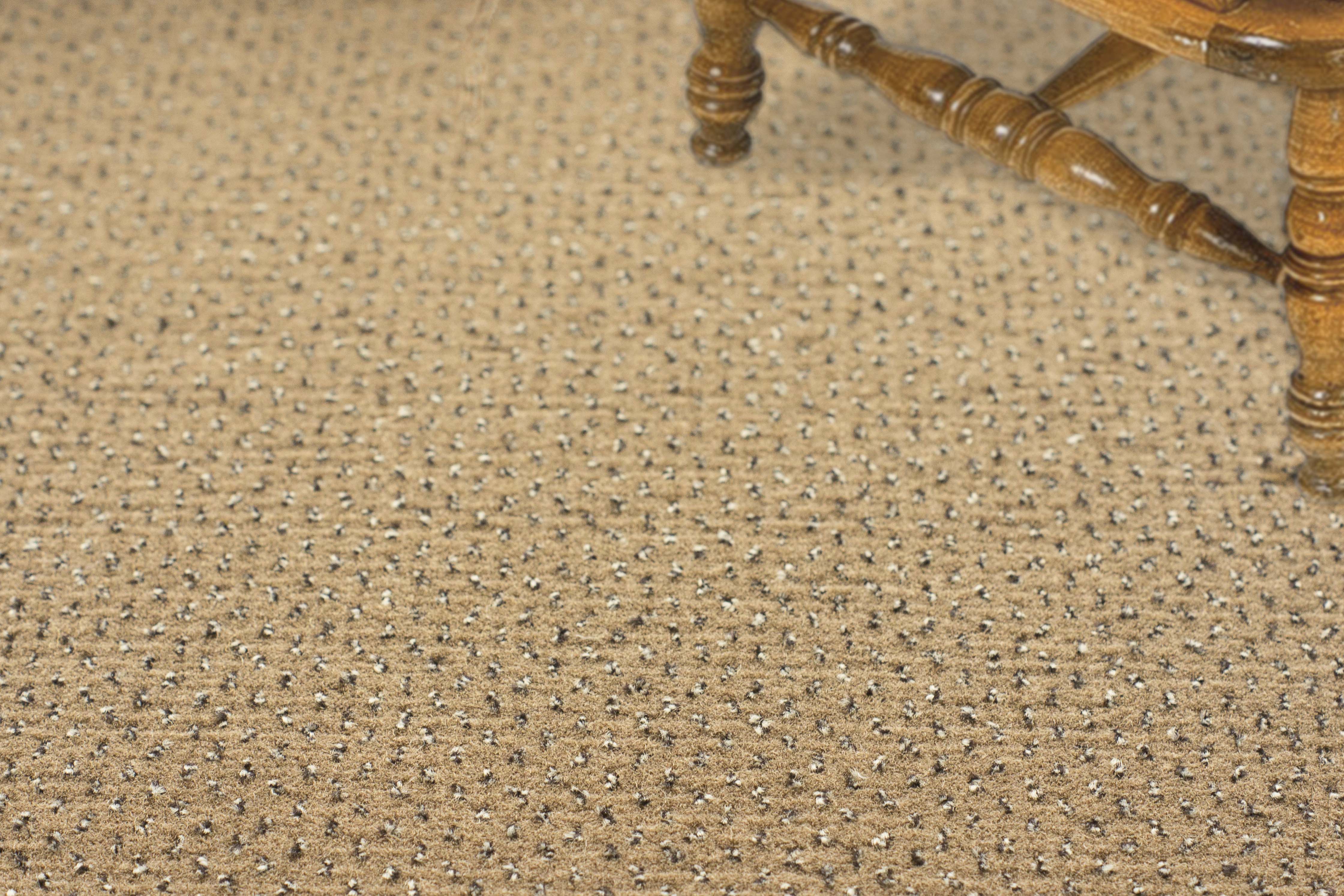 Ковролин "Зартекс" Eternity 142 бежевый (4м) — купить в Мурманске